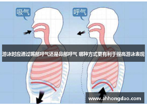 游泳时应通过嘴部呼气还是鼻部呼气 哪种方式更有利于提高游泳表现