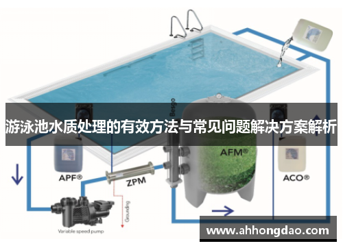 游泳池水质处理的有效方法与常见问题解决方案解析