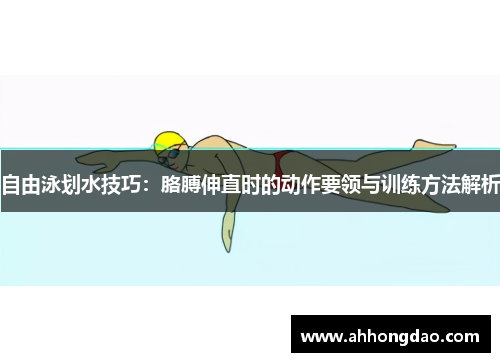 自由泳划水技巧：胳膊伸直时的动作要领与训练方法解析